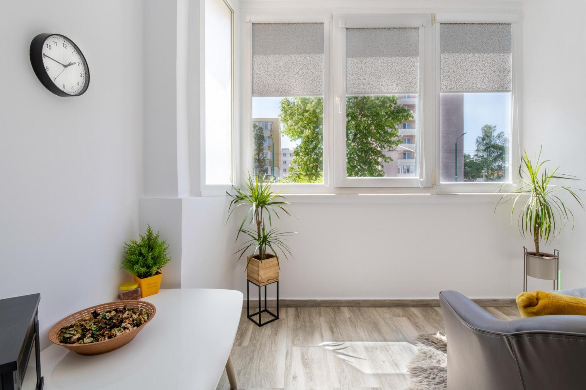 Springhome - Cozy Apartment With Balcony & Parking Brašov Exteriér fotografie